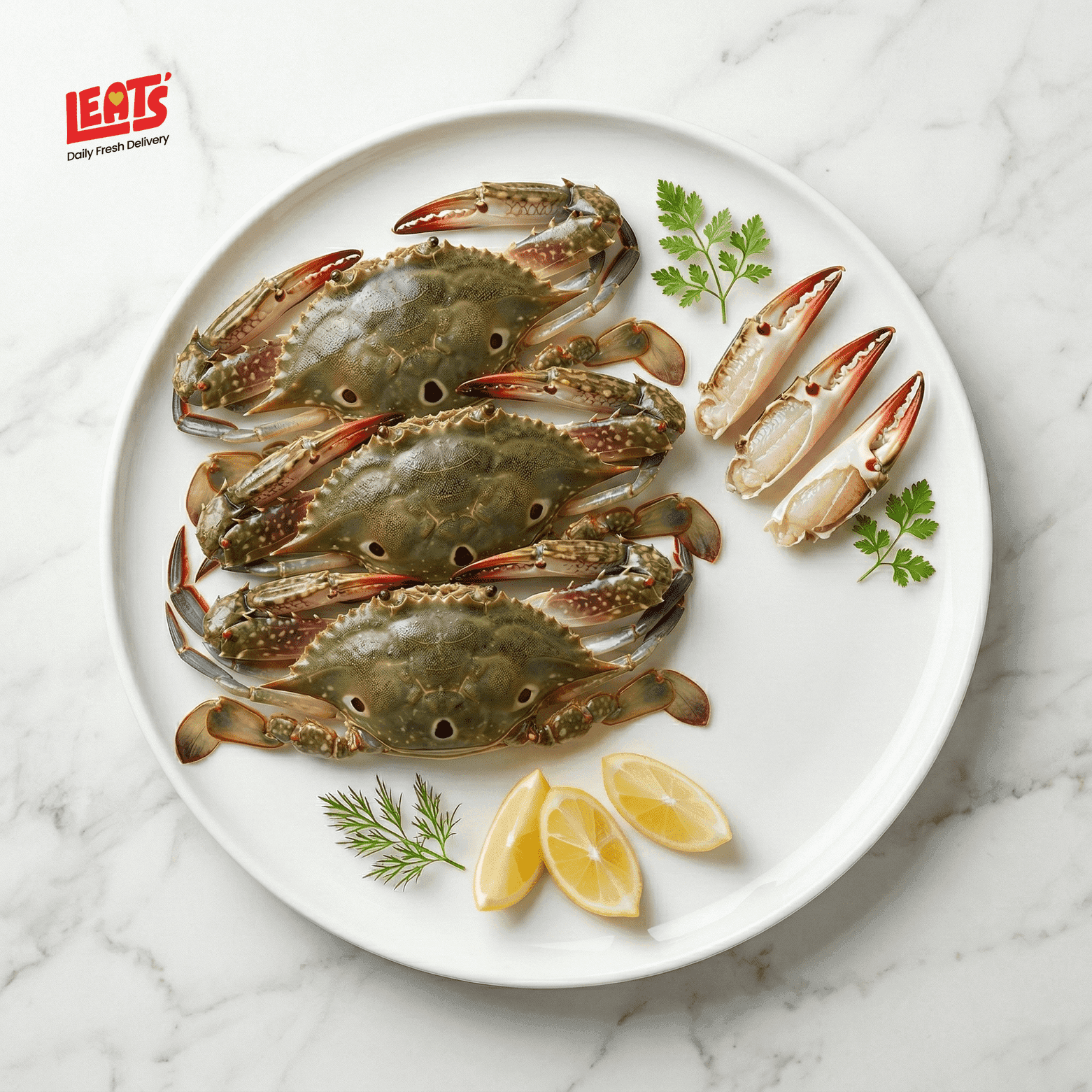 A Fresh Premium Quality Crab, Its Clean Annd Hygenic