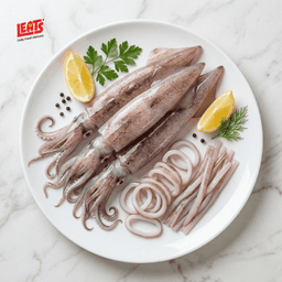 A Fresh Premium Quality Squid, Its Clean Annd Hygenic - Image 1