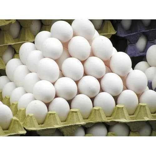 A High Quality Egg