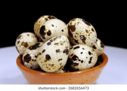 A High Quality Egg - Image 1