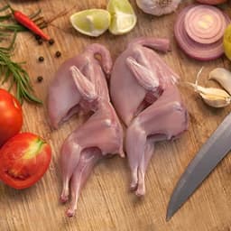 A Premium High Quality Hyenic Product - Image 2